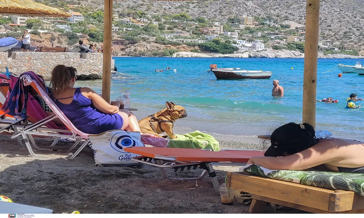 Διόρθωση αιτήσεων Κοινωνικού Τουρισμού: Πώς να τις διορθώσετε για να μην απορριφθούν λόγω λάθους