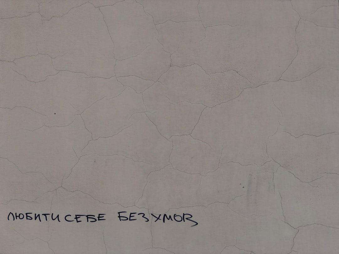 Ο Καλίν Γεοργέσκου ζητά την αναστολή του Νικουσώρ Νταν κατά τη διάρκεια της σύγκρουσης για τον σχηματισμό της κυβέρνησης