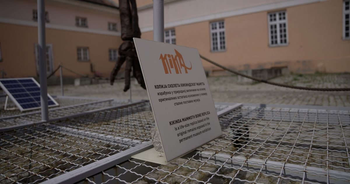 Εξαιρετική ανακάλυψη μαμούτ στη Σερβία προσελκύει τουρίστες