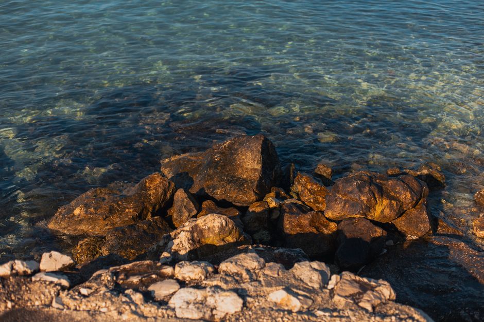 Η Ακμή του Βιγκάνι: Γιατί η Αδριατική Ακτή της Κροατίας Κοβαίνει Βαθύτερα Απ' Ότι Φαντάζεστε