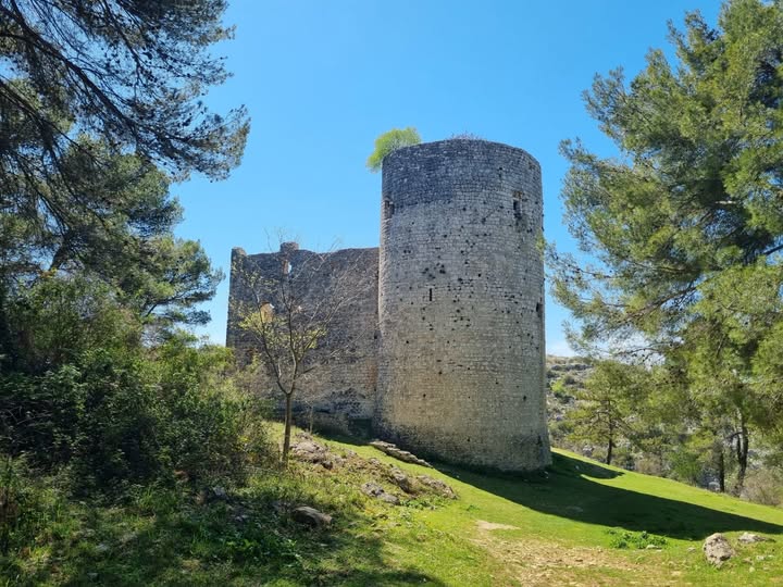 Παιδιά ανακαλύπτουν κανόνι του Ντα Βίντσι σε Κροατική φρούριο