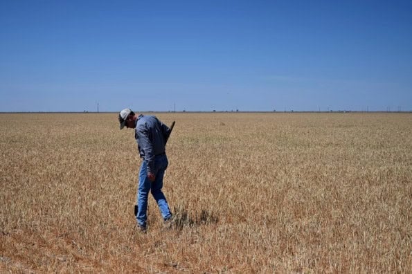 Η κυβέρνηση της Ελλάδας προσφέρει δωρεάν διασκέδαση σε 27.500 γεωργούς